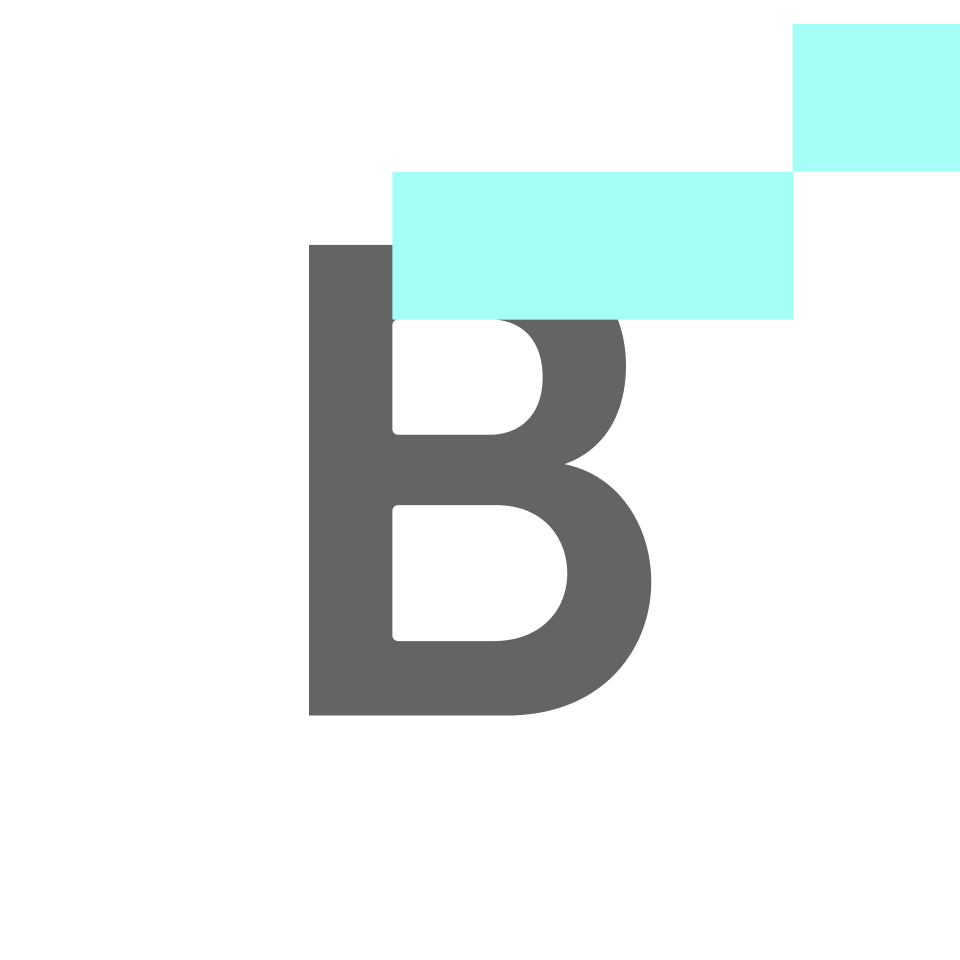 Bitskout_logo
